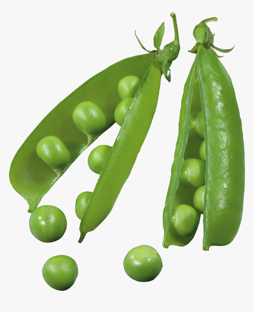 Pea Png - Peas Seed Png, Transparent Png, Free Download