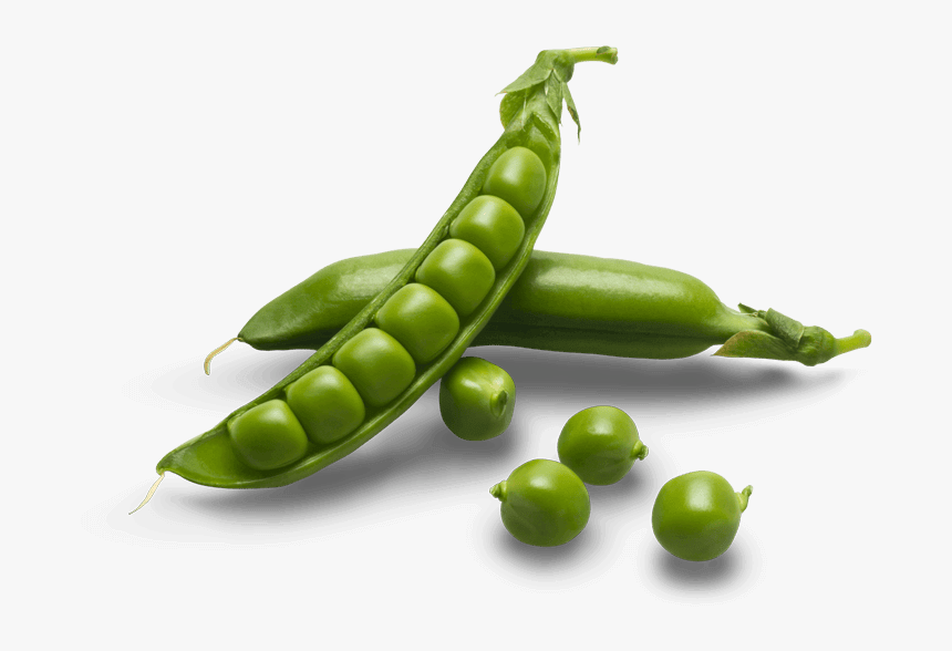 Sugar Snap Peas Png, Transparent Png, Free Download