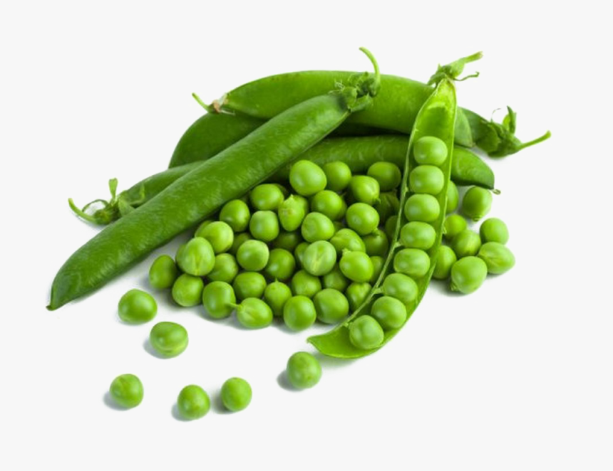 Pea Png Photo - Food Crops With Names, Transparent Png, Free Download