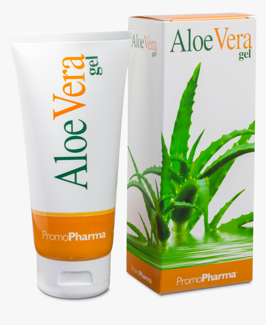 Aloe Vera Png, Transparent Png, Free Download