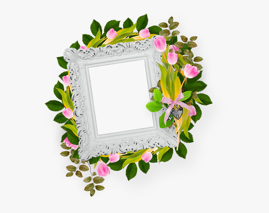 Cute Frames, Borders And Frames, Label Tag, Quotation, - Picture Frame, HD Png Download, Free Download