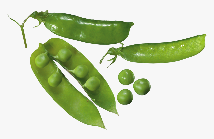 Pea Png Image, Transparent Png, Free Download