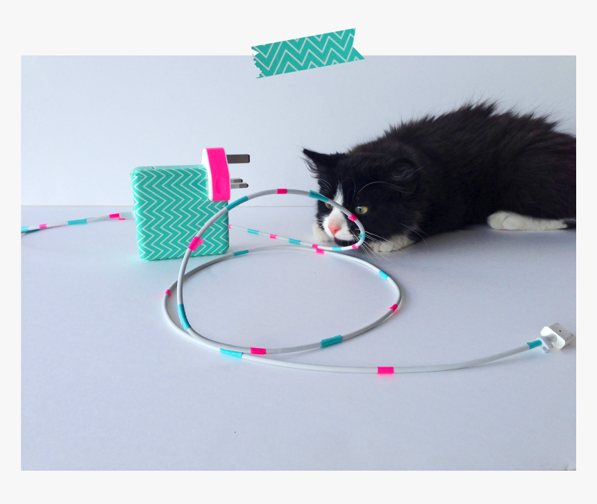 Washi Tape Charger - Cat Yawns, HD Png Download, Free Download