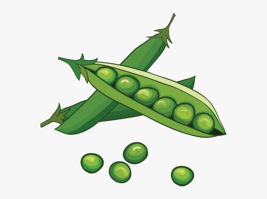 Peas In A Pod Clipart , Png Download - Pod Clipart, Transparent Png, Free Download