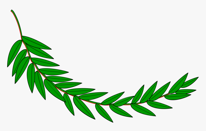 Branch, Laurel, Leaf, Leafy, Leaves, Plant - Hoja De Laurel Dibujo, HD Png Download, Free Download