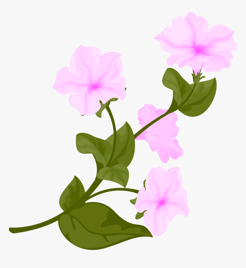 Narciso Flor Rosa Hojas Png E Imagen Vectorial - Trumpet Flower Vector, Transparent Png, Free Download