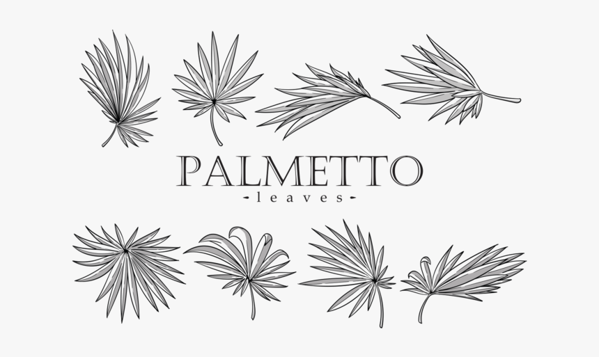 Palmetto Leaf Vector, HD Png Download, Free Download