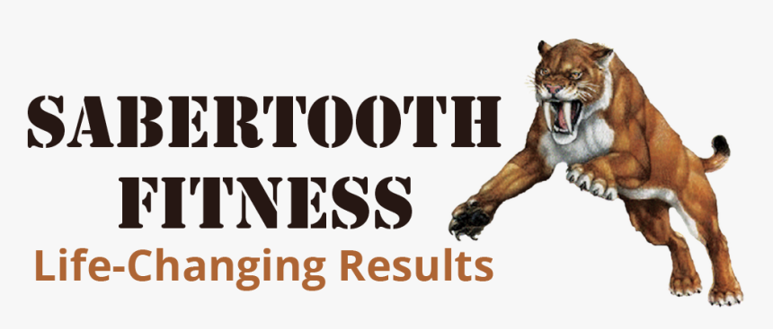 Transparent Saber Tooth Tiger Png - Roar, Png Download, Free Download