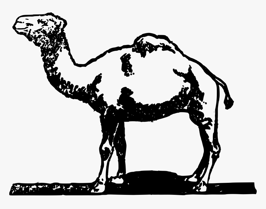 Simple Camel Clip Arts - Desenhos Oasis Camelos Deserto, HD Png Download, Free Download