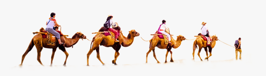 Desert With Camel Png, Transparent Png, Free Download