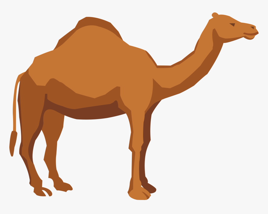 Transparent Camel Clipart Png - Png Camel, Png Download, Free Download