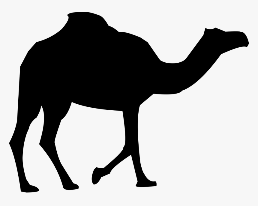 Camel Silhouette, HD Png Download, Free Download