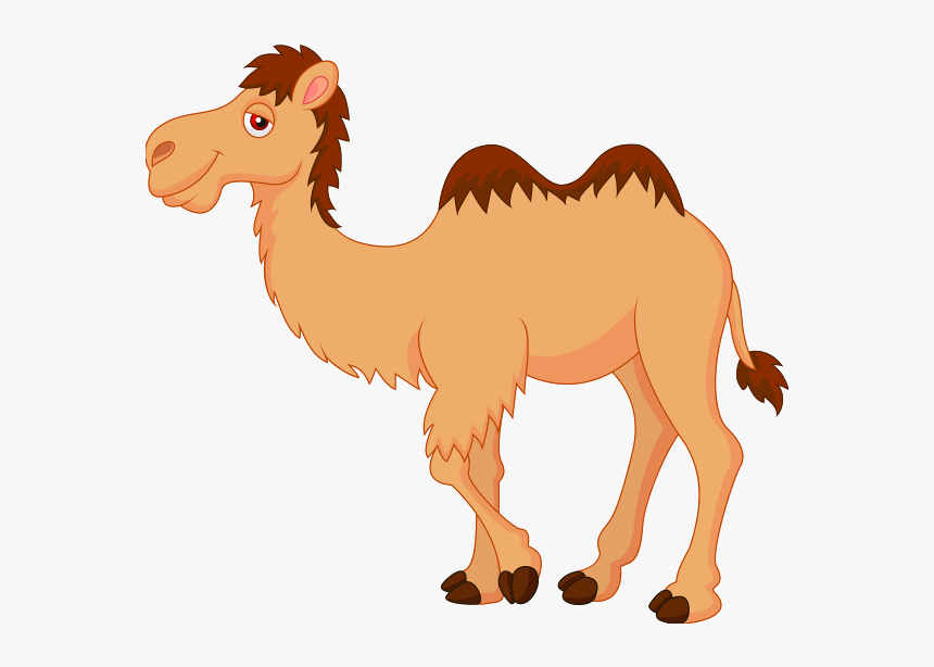 Camel Png Clipart - Camel Clipart, Transparent Png, Free Download