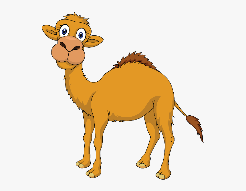 Camel And The Baby Story, HD Png Download, Free Download