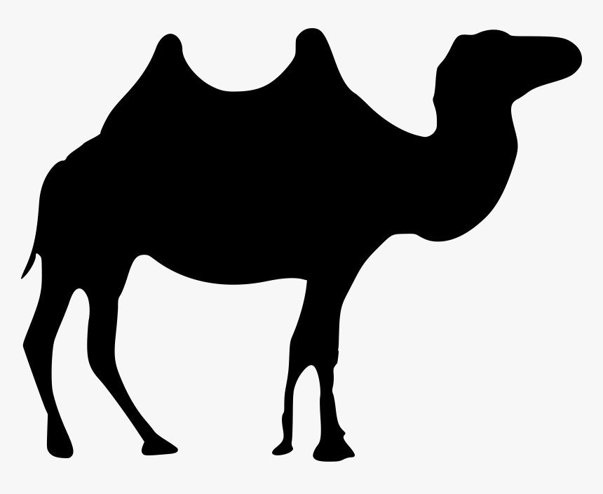 Camel Black And White Png - Transparent Camel Clipart Png, Png Download, Free Download