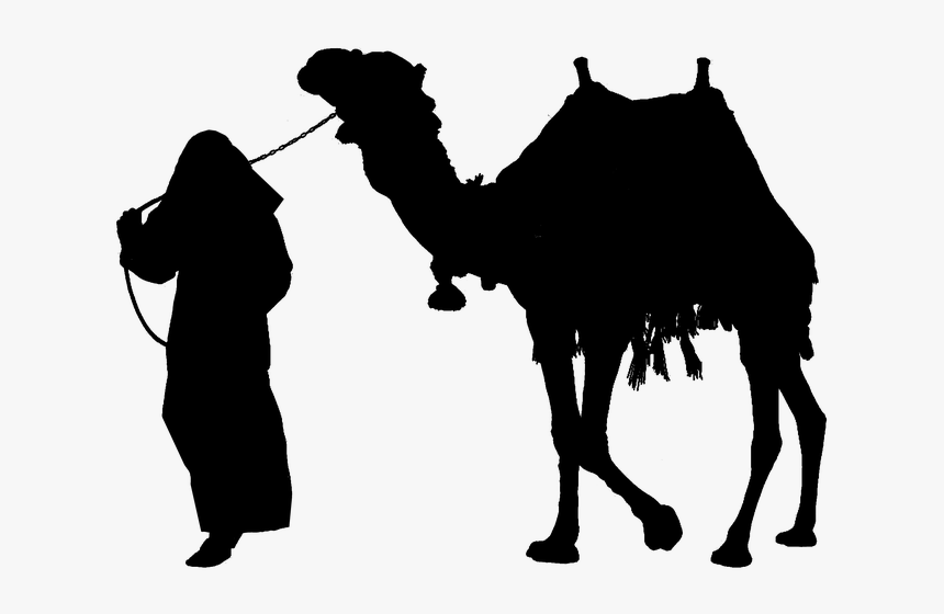 Camel Silhouette Clip Art - Man On Camel Silhouette, HD Png Download, Free Download