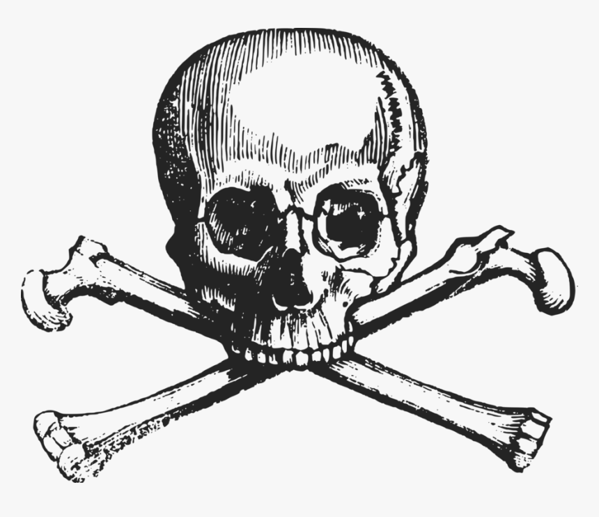 Human Behavior,art,skeleton - Vintage Skull And Crossbones, HD Png Download, Free Download
