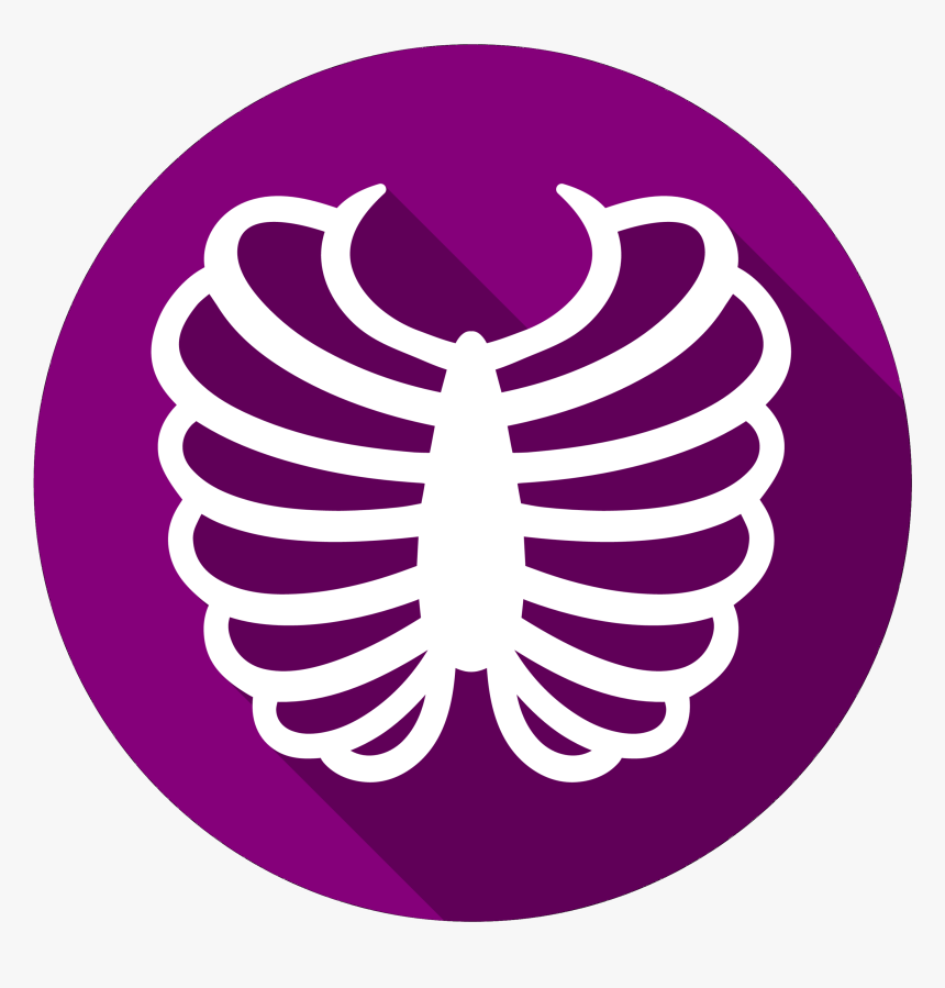 Rib Cage Vector Graphics Computer Icons Bone, HD Png Download, Free Download