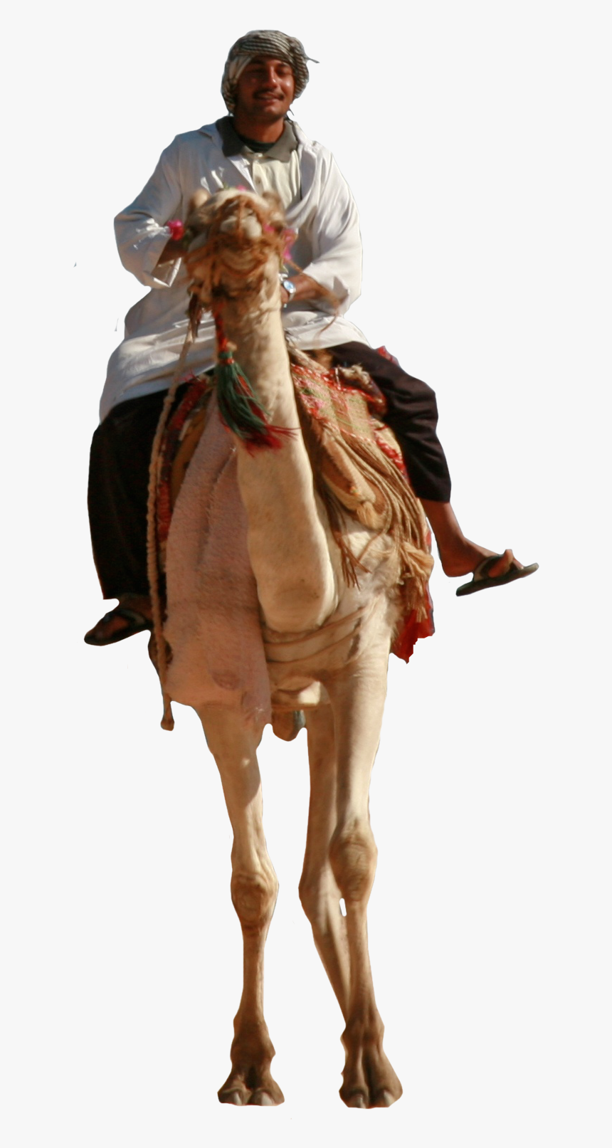 Person Riding Camel Png, Transparent Png, Free Download