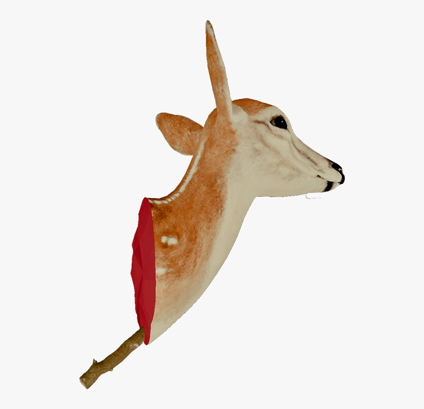 Headtrophyfarket - Deer, HD Png Download, Free Download