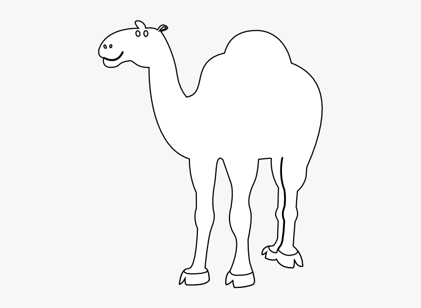 Camel Transparent White Background - White Camel Image Black Background, HD Png Download, Free Download