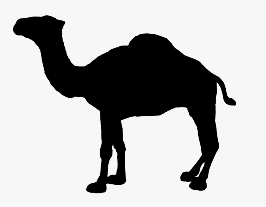 Camel Logo Clipart , Png Download - Camel Silhouette Vector, Transparent Png, Free Download