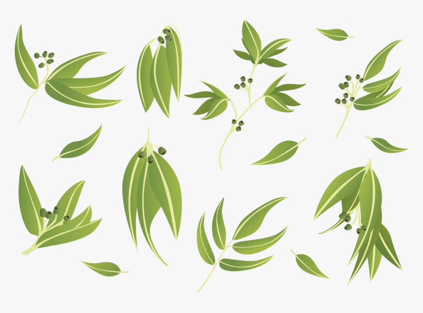 Gum Trees Leaf Euclidean Vector - Gum Trees, HD Png Download, Free Download