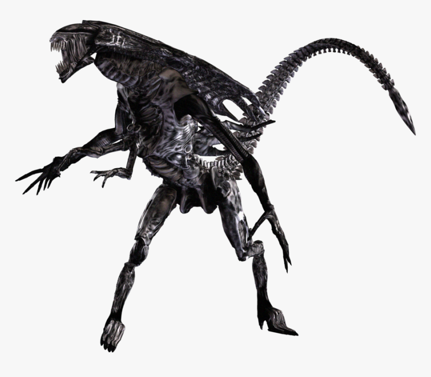 Transparent Alien Xenomorph Png - Alien Vs Predator Png, Png Download, Free Download