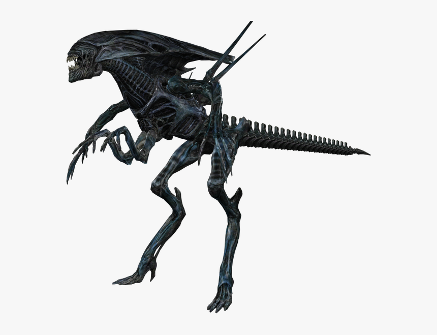 Download Zip Archive - Alien Colonial Marines Queen Model, HD Png Download, Free Download