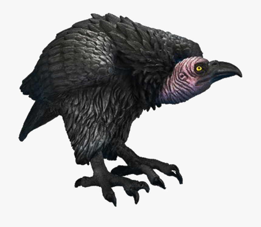 Vulcher Png Transparent Vulcher Images - Vulture Png, Png Download, Free Download