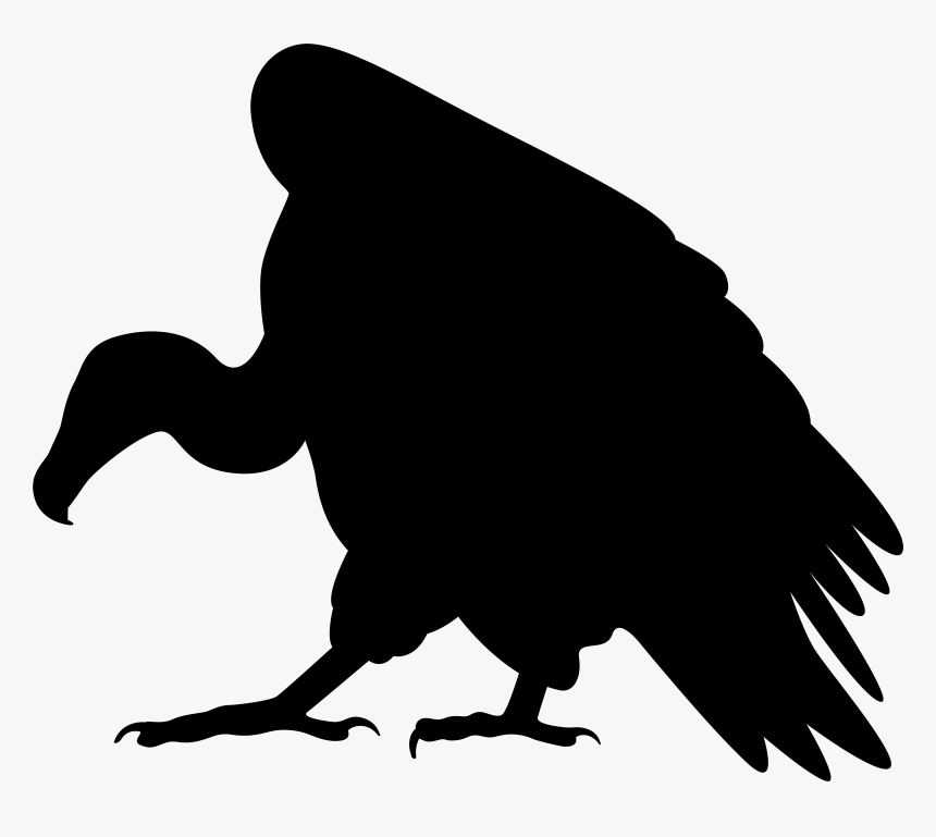 Turkey Vulture Clip Art, HD Png Download, Free Download