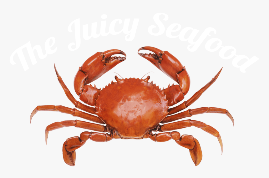 Local Seafood Restaurant Savannah, Ga - Mid Atlantic Crab, HD Png Download, Free Download