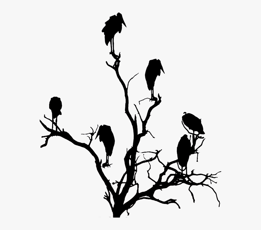 Silhouette Drawing Bird Turkey Vulture Clip Art - Vulture Silhouette, HD Png Download, Free Download