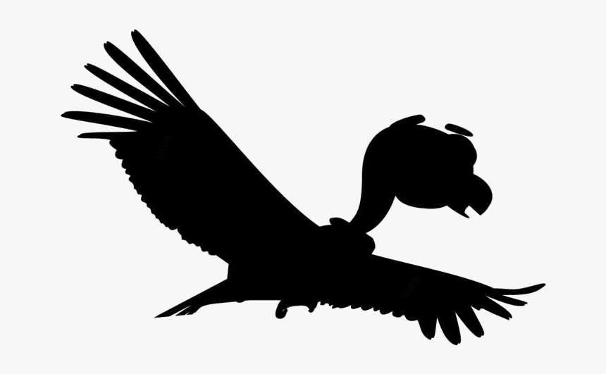 Disney Vulture Png Cartoon - Serrania Esteparia Condor Andino, Transparent Png, Free Download