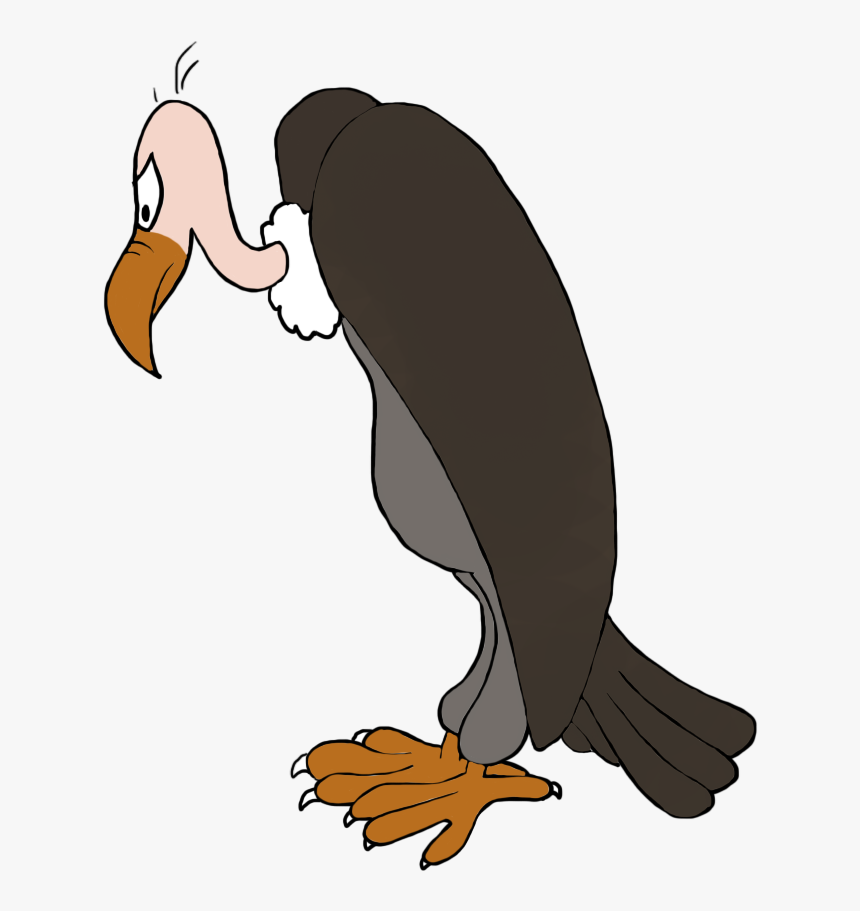 Transparent Bird Transparent Png - Vulture Clipart Png, Png Download, Free Download