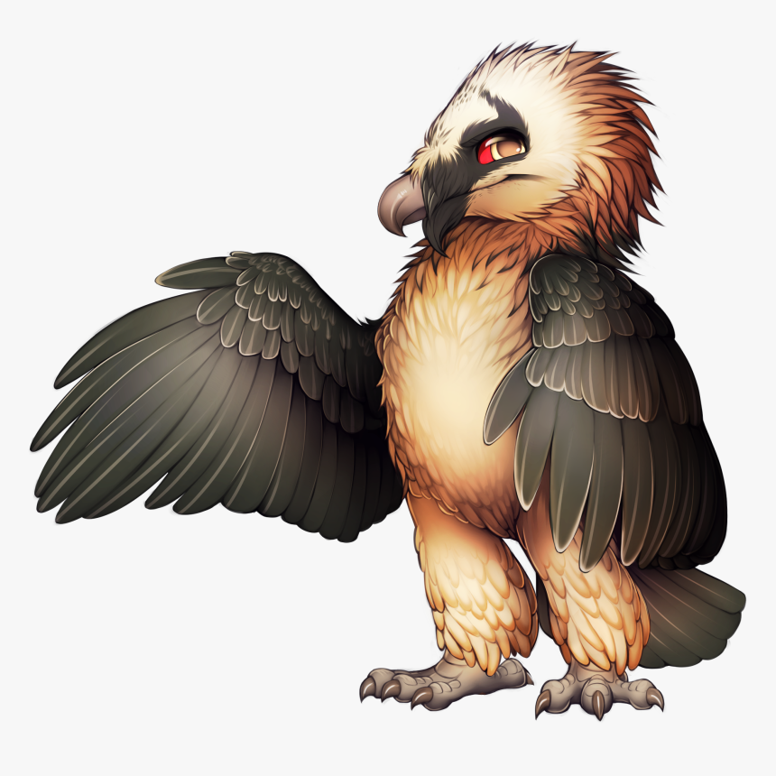 Transparent Bearded Dragon Clipart - Furvilla Bearded Vulture, HD Png Download, Free Download