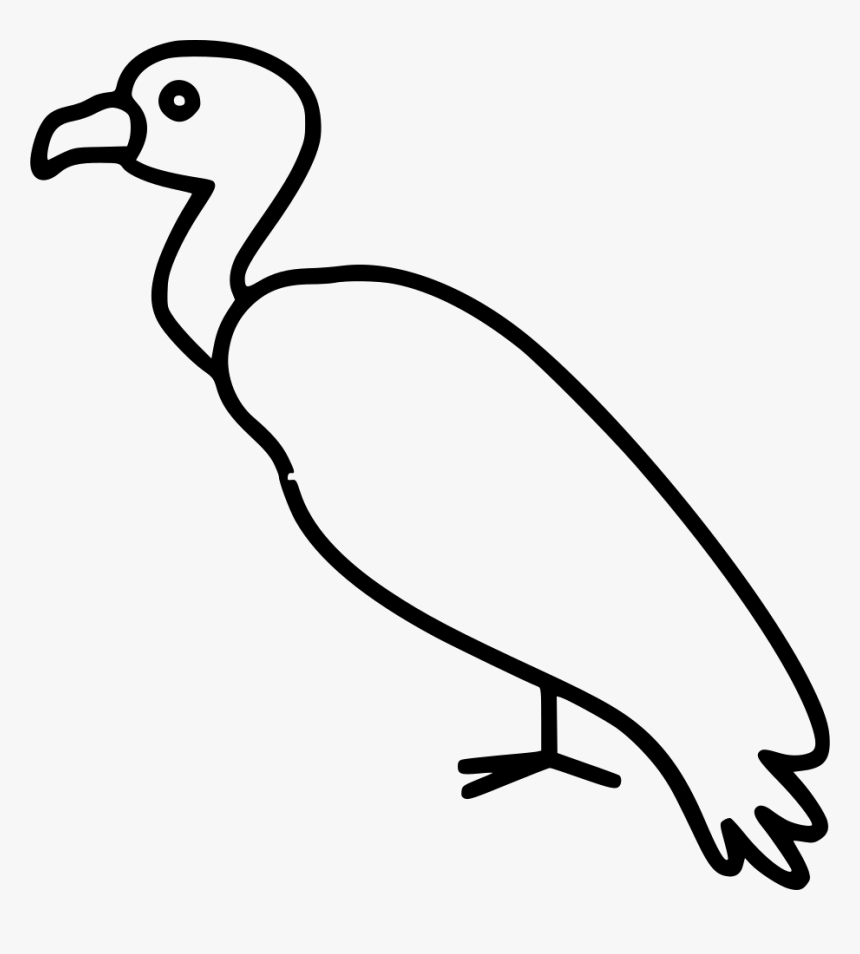 Vulture - Seabird, HD Png Download, Free Download