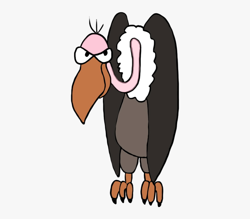 Vulture - Vulture Clipart Transparent Background, HD Png Download, Free Download