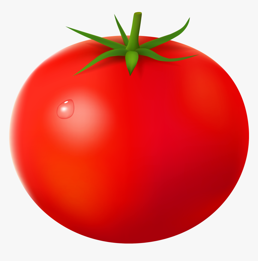 Tomato Png - Tomato Png Clipart, Transparent Png, Free Download