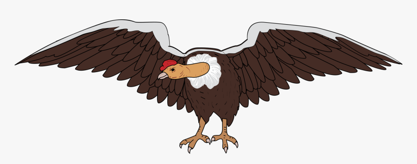 Eagle,bald Eagle,vulture - Condor Png, Transparent Png, Free Download