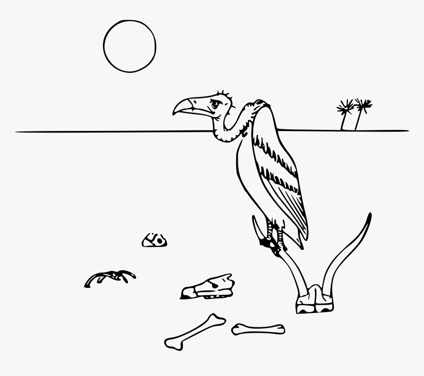 Vulture In The Desert Clip Arts - Desert Animals Line Drawing, HD Png Download, Free Download