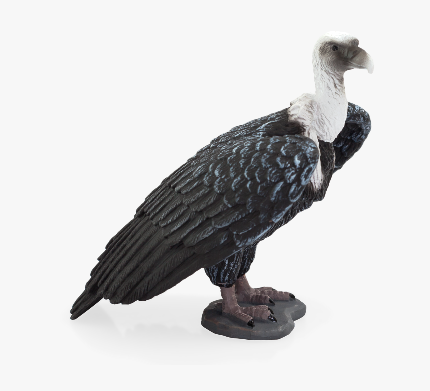 Mojo Fun Griffon Vulture, HD Png Download, Free Download