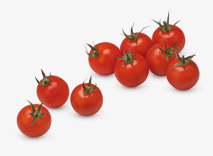 Fresh Tomato Png Download Image - Cherry Tomatoes Clip Art, Transparent Png, Free Download