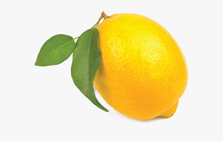 You Re A Lemon Meme, HD Png Download, Free Download