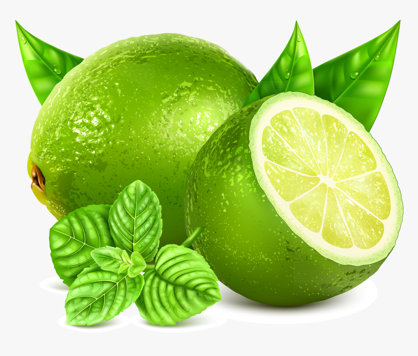 Lemon Free Vector Download, HD Png Download, Free Download