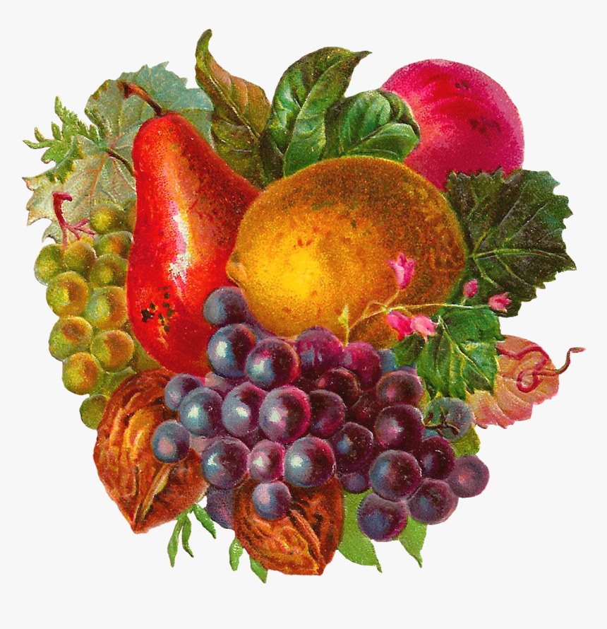 Vintage Fruits, HD Png Download, Free Download