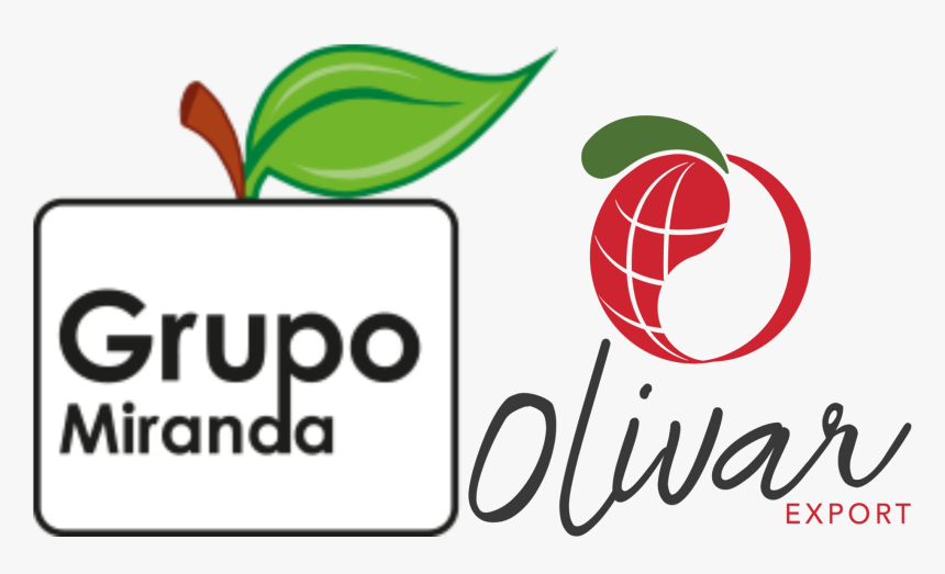 Grupo Miranda - Graphic Design, HD Png Download, Free Download