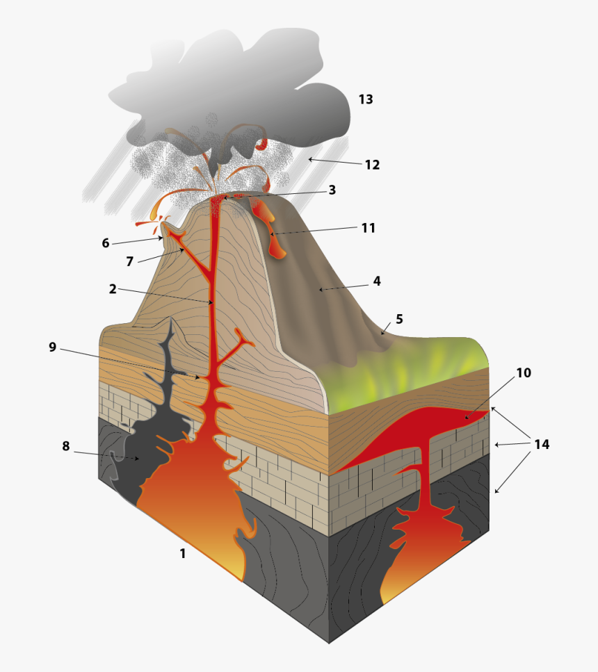 Illustration For Ponto & Vírgula´s Natural Science - Illustration, HD Png Download, Free Download