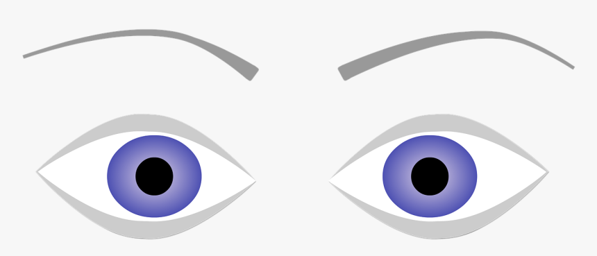 Ojos, Cejas, Ojos Azules, Mirada, Cuerpo Humano, Cara - Circle, HD Png Download, Free Download