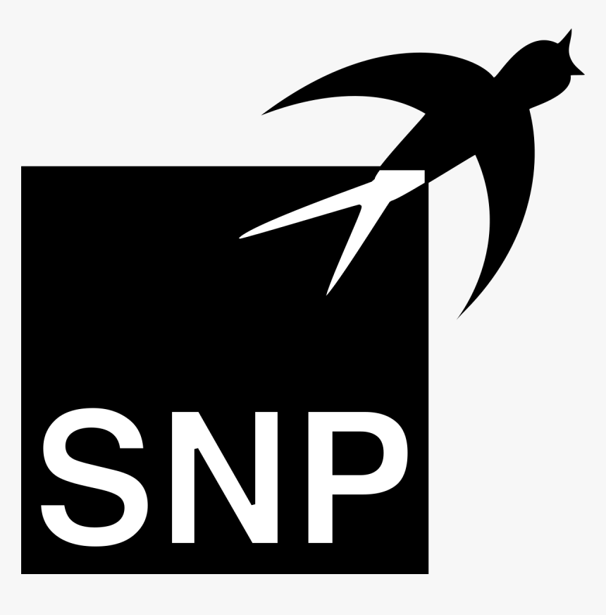 Snp Ag Logo, HD Png Download, Free Download